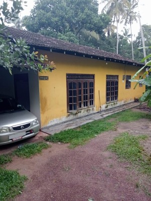 Land for Sale in Minuwangoda - 28 P Land with an Old Livable House for Sale in Minuwangoda