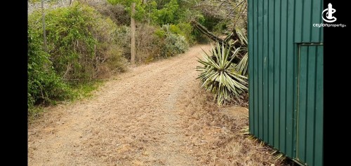 Commercial Property for Sale in Hambantota - 168 Perch Land with Wildlife Holiday Bungalow in Hambantota
