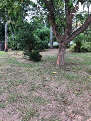 Land for Sale in Ja-Ela - Ja Ela 44 Perches of Commercial Land for Sale