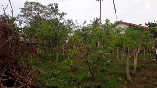 Land for Sale in Kalubowila - Kalubowila 30+ Perches of Land for Sale