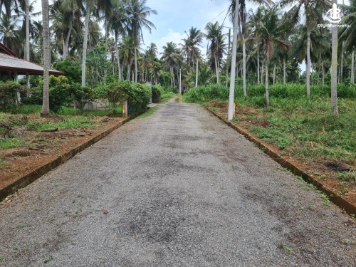 Land for Sale in Mirigama - Mirigama - Hapugahage Watta 12.5 Perches of Land for Sale