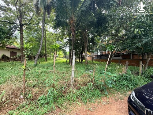 Land for Sale in Boralesgamuwa - Boralesgamuwa-Raththanapitiya Junction 26.65 Perches of Land for Sale