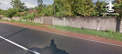 Land for Sale in Gampaha - Gampaha 124 Perches of Land with a House for Sale