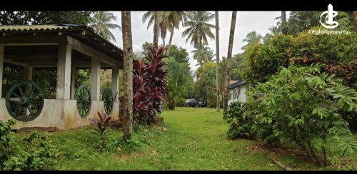 Commercial Property for Sale in Kelaniya - Kelaniya Biyagama Road, 229 Perches of Land with 02 Warehouses & A House for Sale