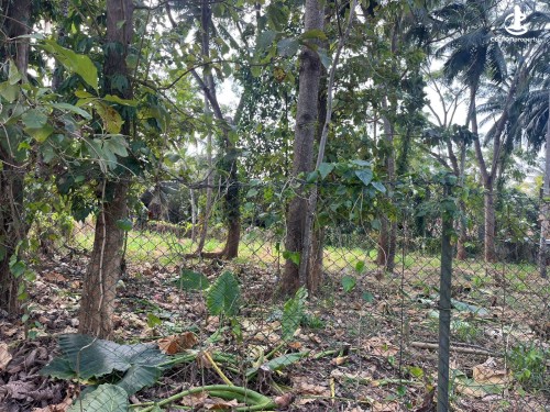 Land for Sale in Minuwangoda - Minuwangoda - Divulapitiya Main Road Prime 60.57 Perches of Land for Sale