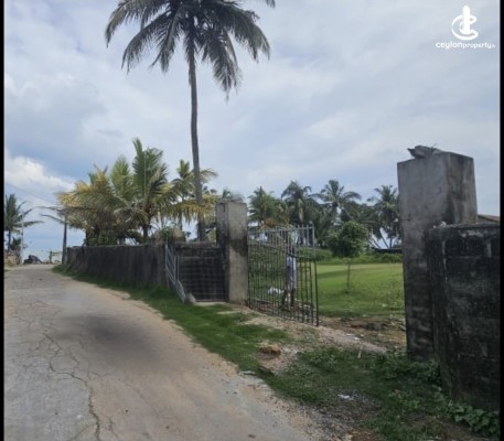 Land for Sale in Negombo - Negombo, Sooriya Road 63 Perches of Beach view Property for Sale