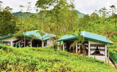 Land for Sale in Hatton - Hatton Watawala 12 Acers Tea Estate with a Villa for Sale