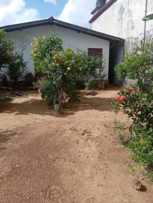 Land for Sale in Navinna - Wattegedara Suramya Mawatha 12.5 Perches of Land for Sale