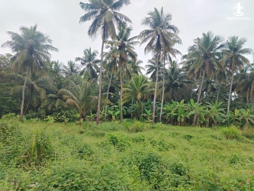 Land for Sale in Galewela - Matale District Galewela Beliyakanda overlooking Dewahuwa tank 215 Perches of Scenic Land for Sa…