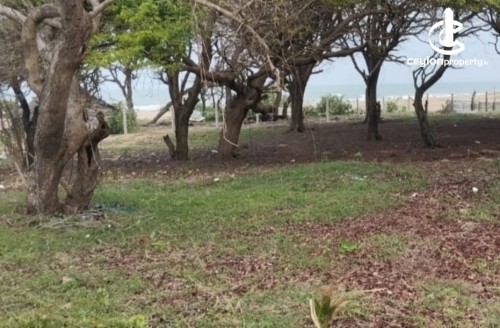 Land for Sale in Trincomalee - Trincomalee Nilaveli Road 327 Perches of Beach front Property for sale