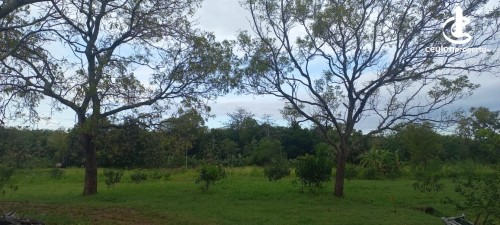 Land for Rent in Buttala - Buttala 2 Acres with 6 Acres reservation property for Agro Tourism on Lease