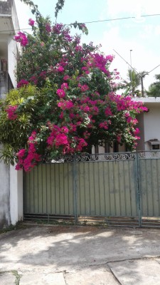 Land for Sale in Maharagama - Maharagama, Dambahena Road, 8.5 Perches of Land with a Livable House for Sale
