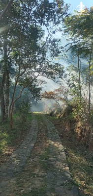 Land for Sale in Bandarawela - Udaha Walawwa – 3.30 Acre Estate with Scenic Mountain Views, Bandarawela for Sale