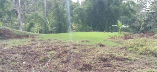 Land for Sale in Nuwara Eliya - Ref - (P-D-190) ✨ Prime Lakefront Property for Sale – Castlereigh Reservoir, Nuwara Eliya Di…
