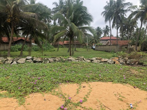 Land for Sale in Marawila - Ref(P-SAM-261)Beachfront Property for Sale – Marawila