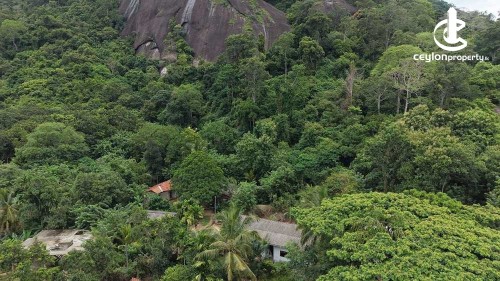 Land for Sale in Monaragala - Ref(P-JANI-873) Prime Land for Sale – Monaragala (17.5 million)