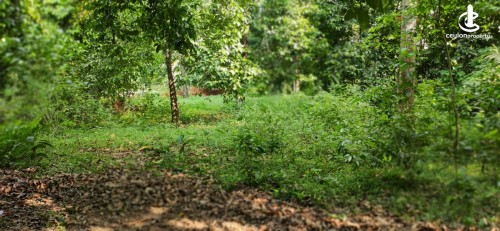 Land for Sale in Avissawella - Land for Sale in Avissawella