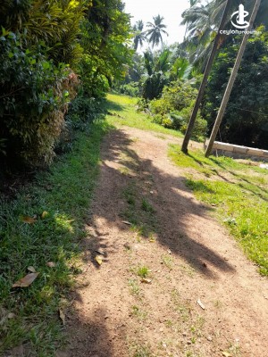 Land for Sale in Kottawa - Land for Sale in Kottawa