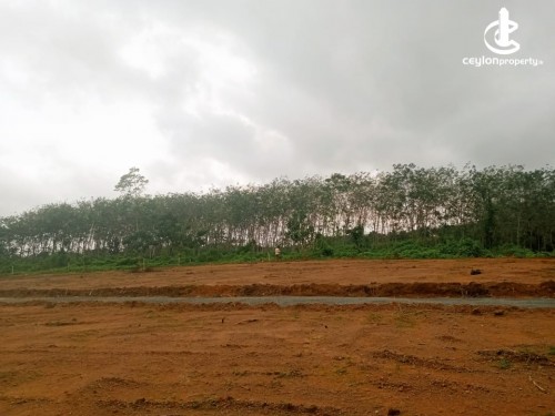 Land for Sale in Horana - Land for Sale in Horana