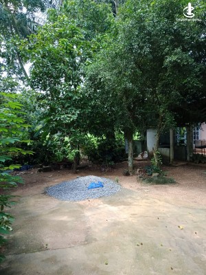 Land for Sale in Meegoda - Land for Sale in Meegoda