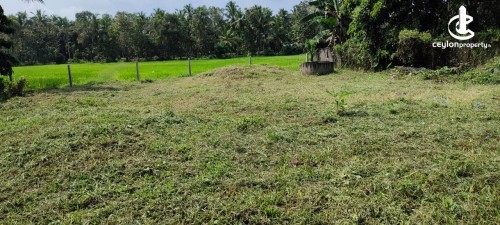 Land for Sale in Kurunegala - Land for Sale in Kurunegala