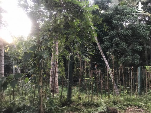 Land for Sale in Gintota - Land for Sale in Gintota