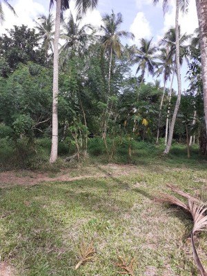 Land for Sale in Gampaha - Land for Sale in Gampaha