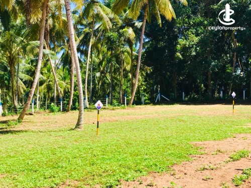 Land for Sale in Kurunegala - Land for Sale in Kurunegala