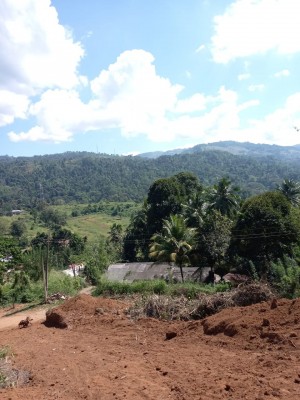 Land for Sale in Gampola - Land for Sale in Gampola