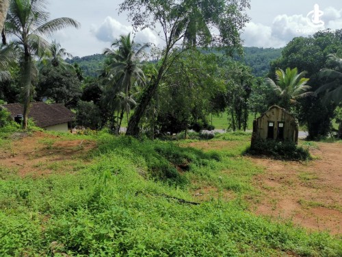 Land for Sale in Agalawatta - Land for Sale in Agalawatta