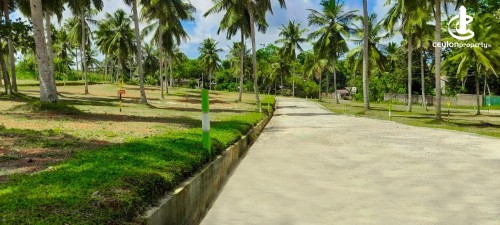 Land for Sale in Kesbewa - Land for Sale in Kesbewa