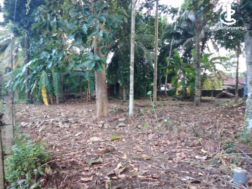 Land for Sale in Panadura - Land for Sale in Panadura