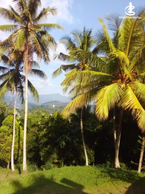 Land for Sale in Kandy - Land for Sale in Kandy