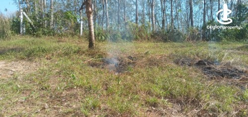 Land for Sale in Padukka - Land for Sale in Vevalpanawa Junction, Meepe