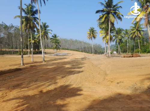 Land for Sale in Kosgama - Land for Sale in Kosgama