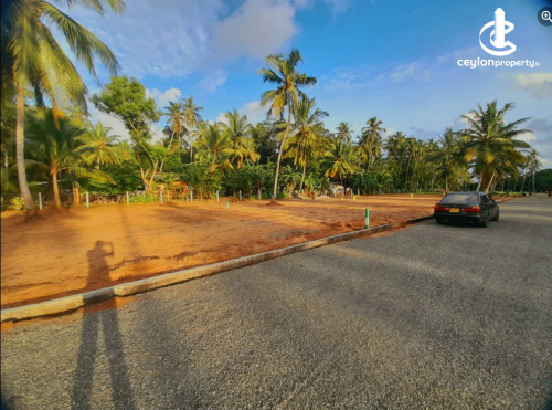 Land for Sale in Seeduwa - Land for Sale in Seeduwa