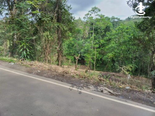 Land for Sale in Horana - Land for Sale in Horana