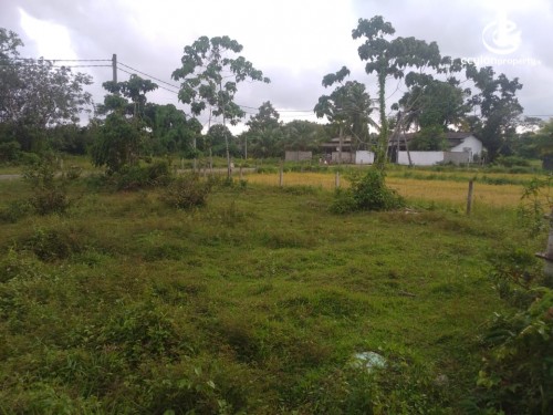Land for Sale in Bandaragama - Land for Sale in Bandaragama