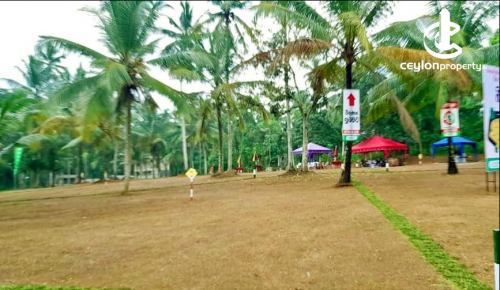 Land for Sale in Nittambuwa - Land for Sale in Nittambuwa