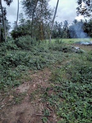 Land for Sale in Horana - Land for Sale in Horana