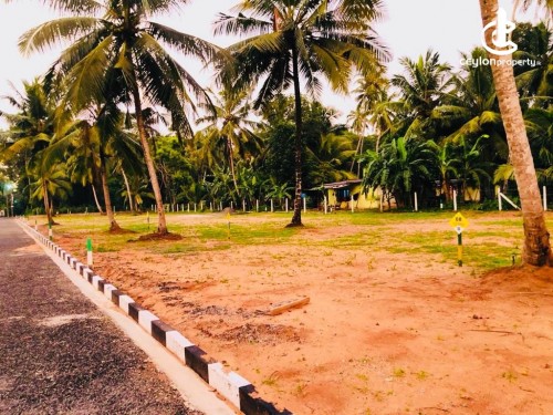 Land for Sale in Seeduwa - Land for Sale in Seeduwa,muthuwadiya