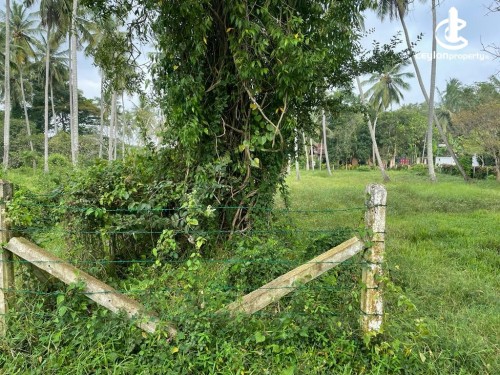 Land for Sale in Kurunegala - Land for Sale in Kurunegala - Hettipola