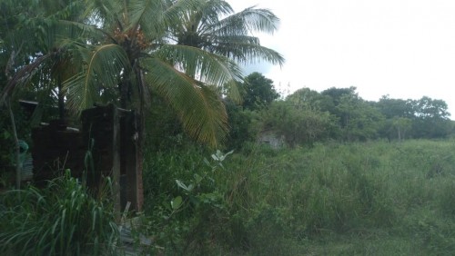 Land for Sale in Dambulla - 60 Perches Valuable Land For Sale in Dambulla-Habarana Road