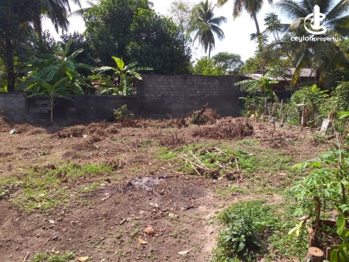 Land for Sale in Biyagama - 16.1 Perches Valuable Land For Sale in Biyagama
