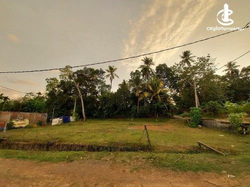 Land for Sale in Panadura - 11.6 Perches Valuable Land For Sale in Panadura