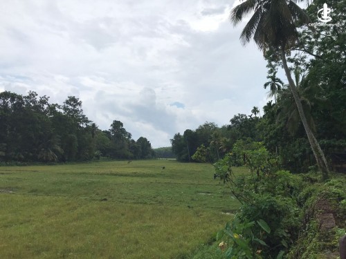 Land for Sale in Meegoda - 25.7 Perches Valuable Land For sale in Meegoda, Dampe
