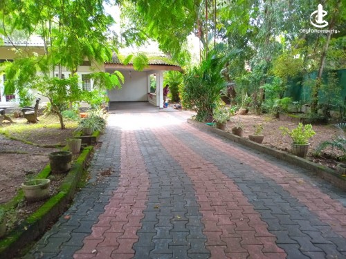 Land for Sale in Panadura - 50 perches Land with house for sale in Panadura