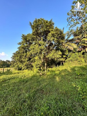 Land for Sale in Katunayake - 27.5 Perches Land with 4-Bedroom for Sale – Amandoluwa, Kuruduwatta Road