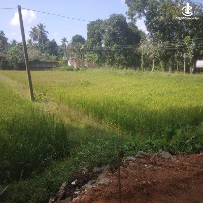 Land for Sale in Meegoda - 15 Perches Land For Sale in Meegoda, Horagala