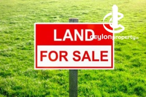 Land for Sale in Ganemulla - 15 perches land for sale in Ganemulla
